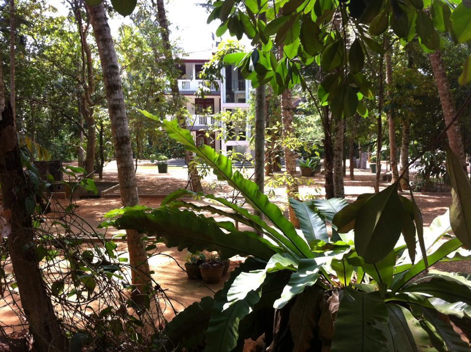 Bed and Breakfast Gem Field Rest Ratnapura Exteriér fotografie